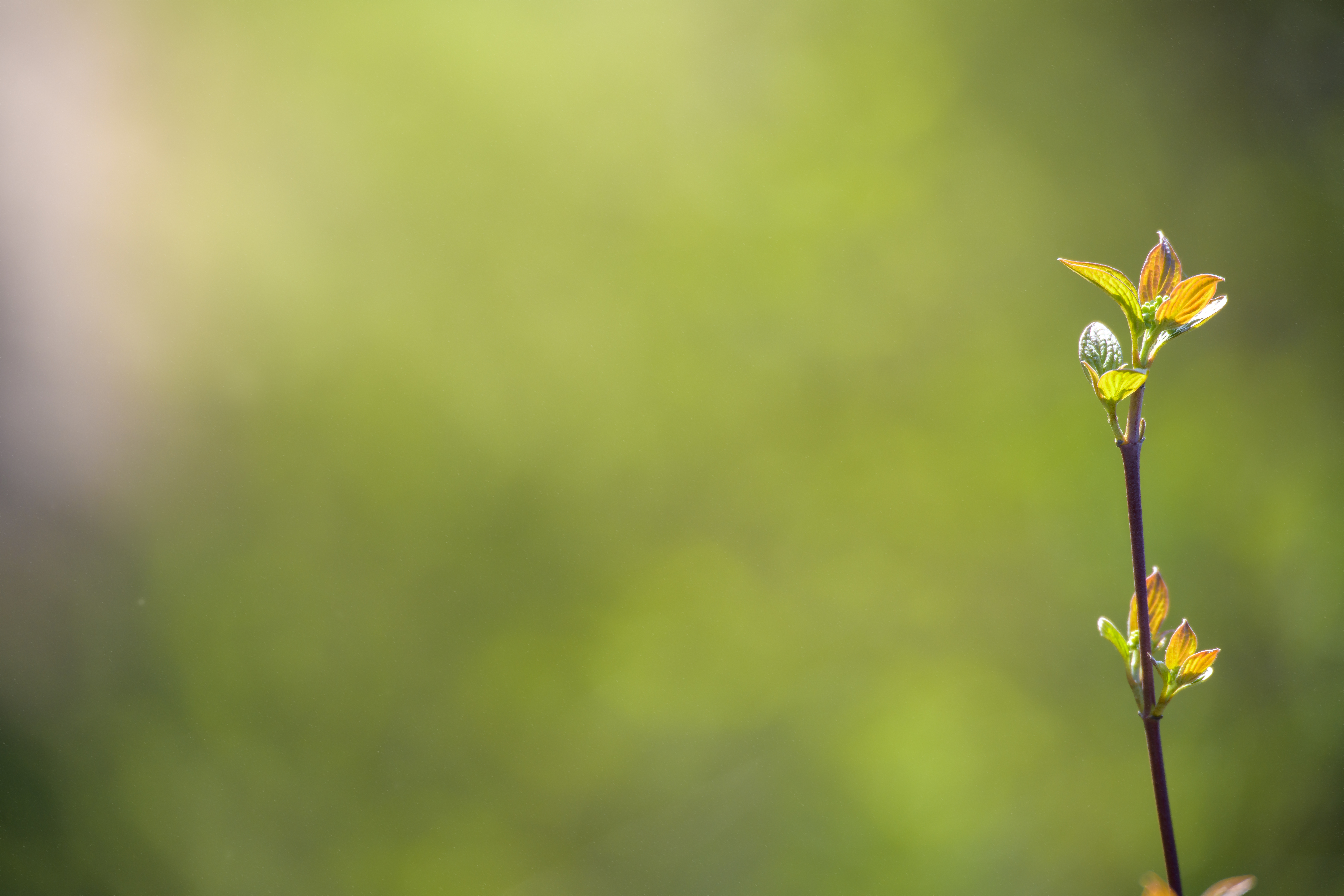 Gentle ways to work with anxiety (without forcing calm)